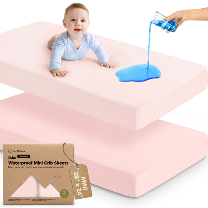 Mist Rose / 38 x 26