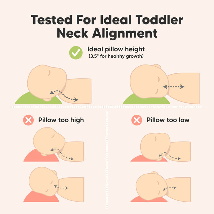 Tested for ideal toddler neck alignment with ideal pillow height of 3.5 inches.