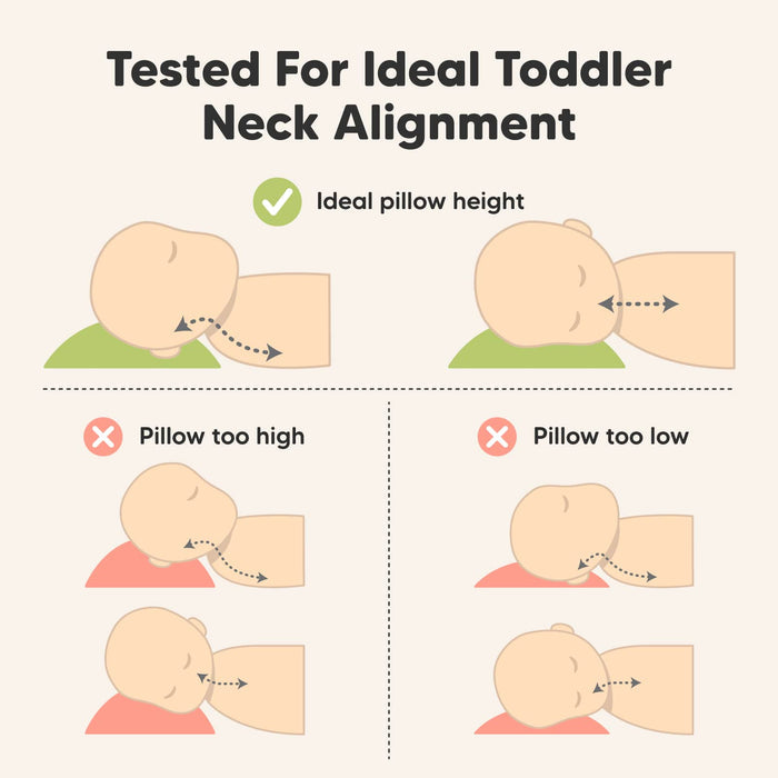 Tested for ideal toddler neck alignment with a balanced height that is neither too high nor too low.
