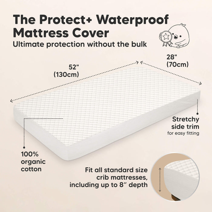 Protect waterproof mattress cover measures 52 × 28 inches, fits standard crib mattresses up to 8 inches deep, and is made of 100% organic cotton.