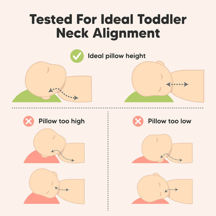 Tested for ideal toddler neck alignment with a balanced height that is neither too high nor too low.