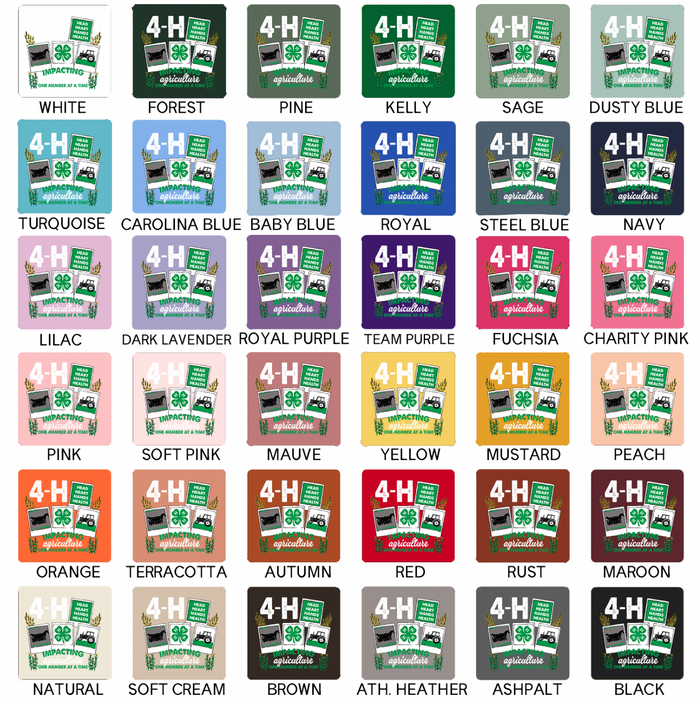 4-H Polaroid- Bella Canvas T-Shirt