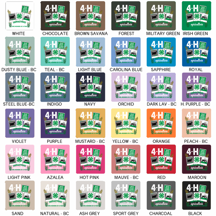4-H Polaroid– Hoodie