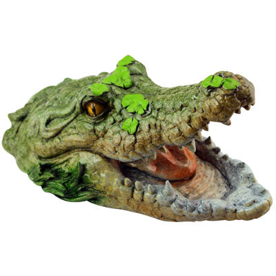 Gator Head