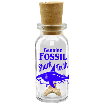 Gator Tooth Bottle