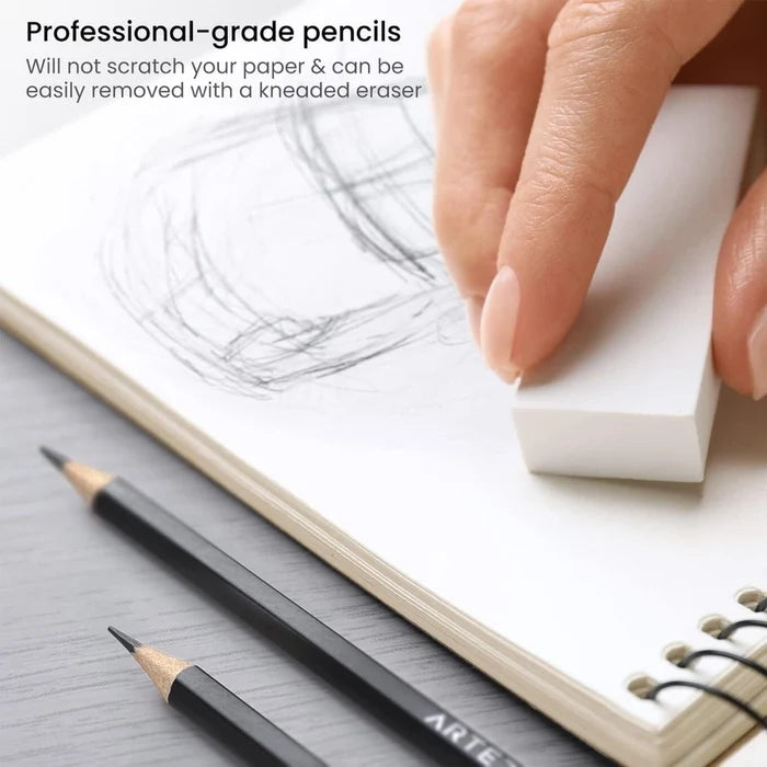 Arteza® Pro Series Drawing Pencils Set of 12