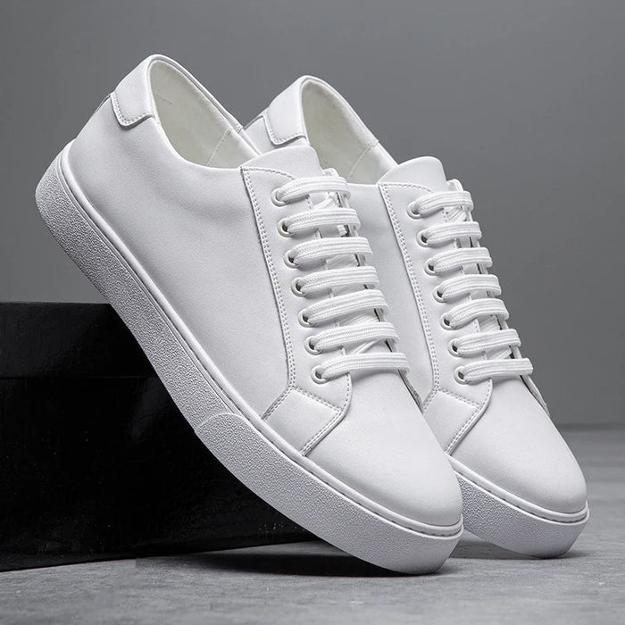 Bellini | Baskets en Simili Cuir Italien