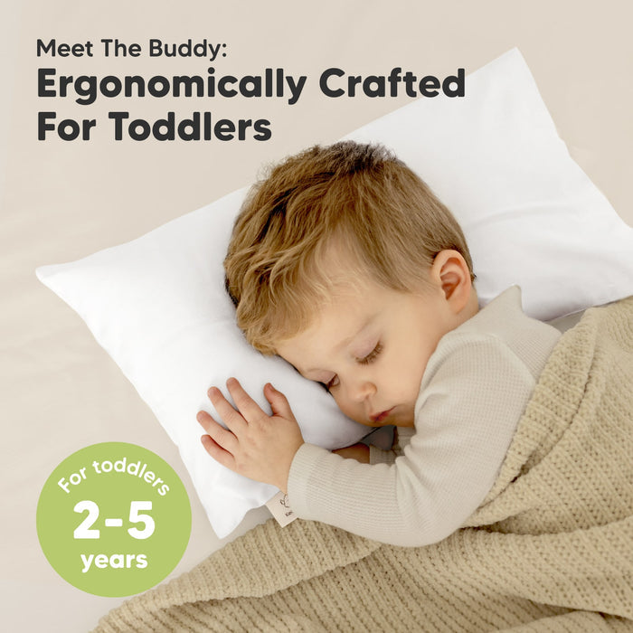 Meet The Buddy: Ergonomically Crafted For Toddlers, For toddlers 2–5 years