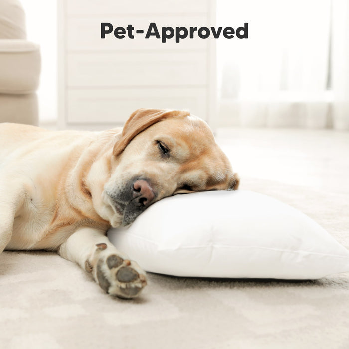 Pet-Approved