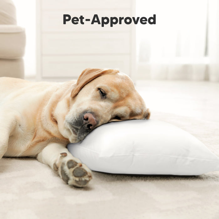 Pet-Approved