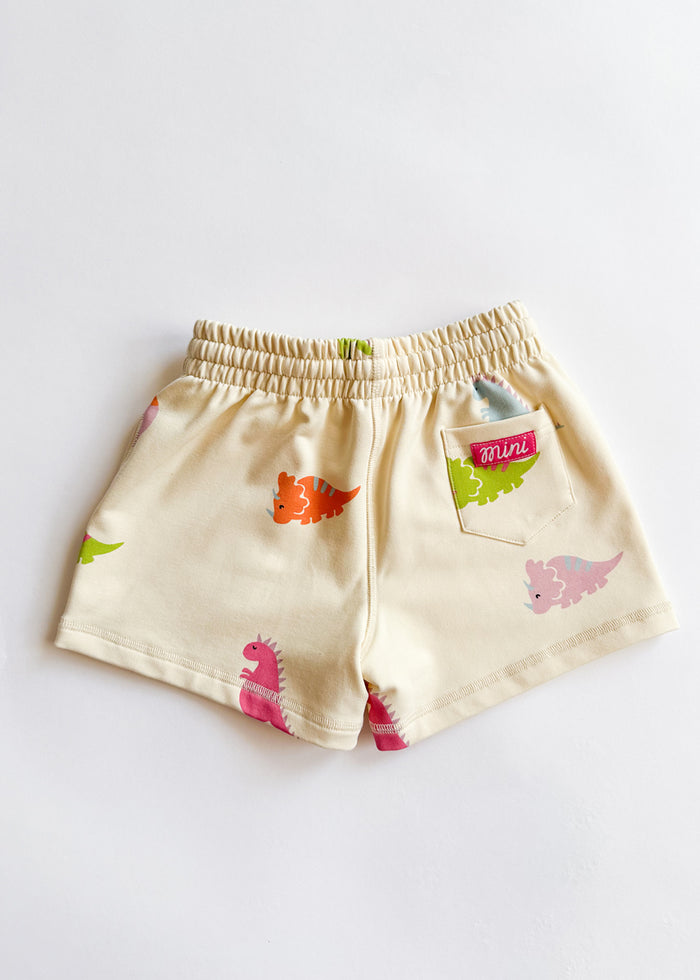 Dinosaur Terry Oversized Sweatshort Set
