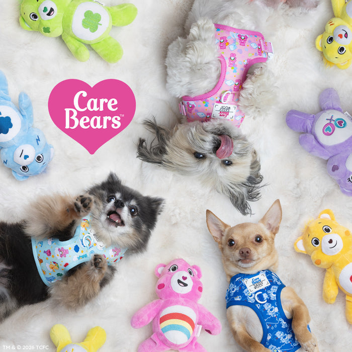 Three small dogs in Sassy Woof Dog Adjustable Harnesses – Care Bears™ Cheer Bear – relax on a white rug, surrounded by colorful plush Care Bears toys. A pink heart with "Care Bears" is shown on the left side of the image.
