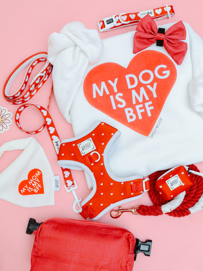 A flat lay of Sassy Woof's "Little Love" dog adjustable harness, leash, collar, bow tie, and bandana with "My Mom is My BFF," plus a red rope leash, treat bag, and a white sweatshirt with "My Dog is My BFF" in a red heart on pink.