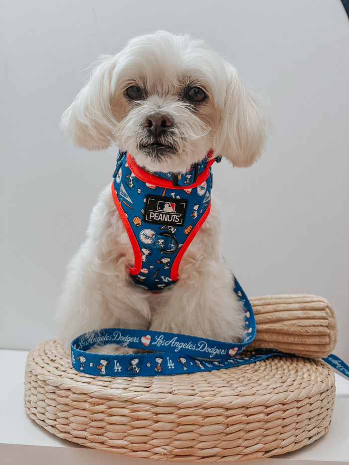 A small white dog wears the Sassy Woof Dog Adjustable Harness - MLB™ x Peanuts™ Los Angeles Dodgers™, sitting on a woven mat with a matching blue leash in front, showcasing the harness collection.