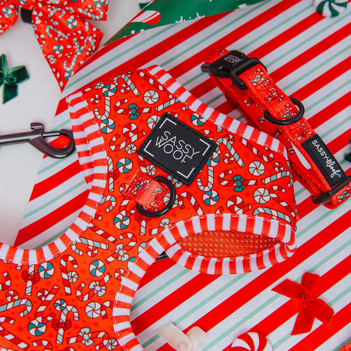 The Sassy Woof Dog Adjustable Harness - Puppermint Twist, featuring candy cane and holiday patterns, is displayed with festive ribbons and bows on red, white, and green striped gift wrap.