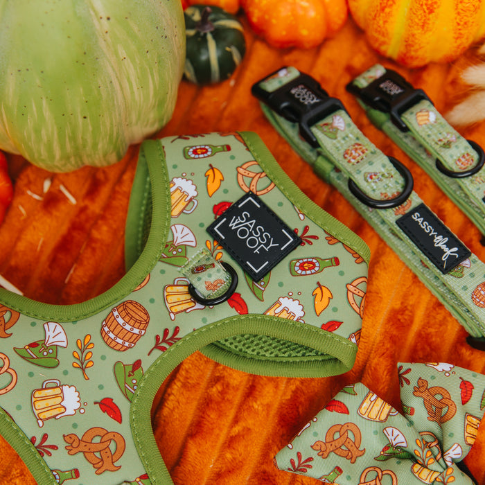 The Sassy Woof Dog Adjustable Harness - Wurst Behavior, featuring autumn-themed patterns, is displayed with a collar and bow tie on an orange surface surrounded by pumpkins and gourds.