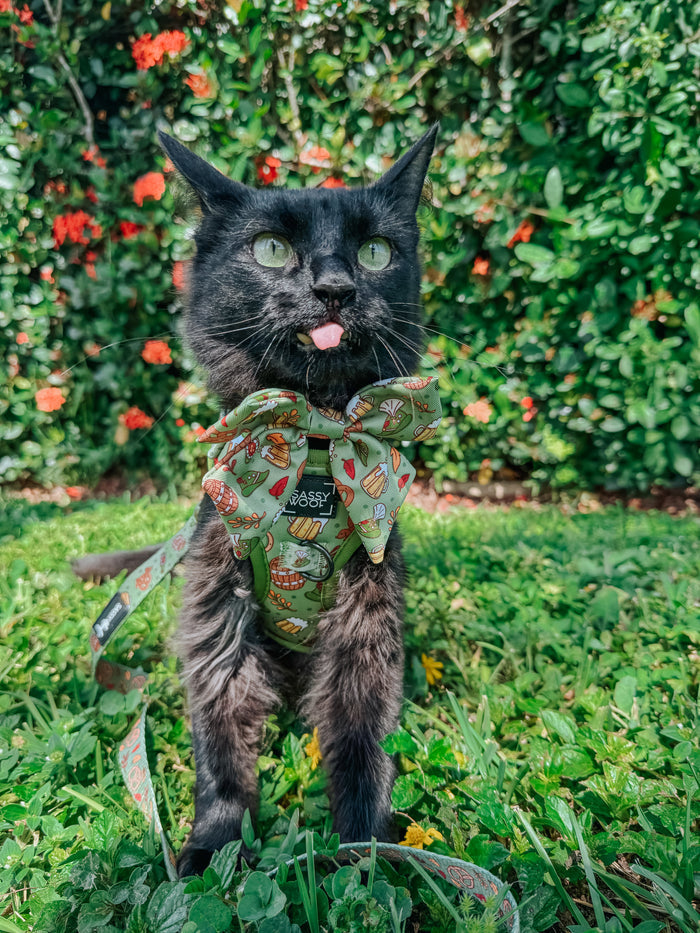 INFLUENCER_CONTENT | @KITTENS_BEER | SIZE XXS