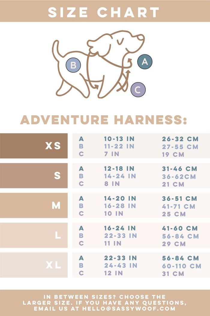 Size chart for the Sassy Woof Dog Step-in Harness – Disney’s Winnie the Pooh, with an illustration of neck (A), chest (B), and back (C) measurement points. Chart includes XS–XL sizes in both inches and centimeters.