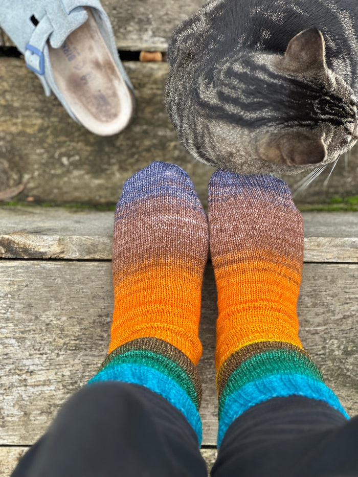 Matchy Sloth Socks