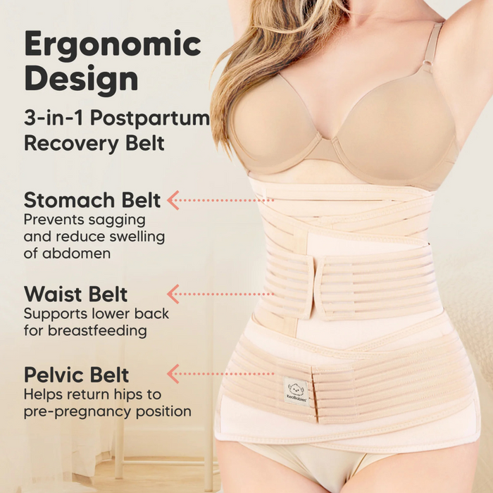 Ergonomic Design: 3-in-1 Postpartum Recovery Belt, Stomach belt prevents sagging & reduces swelling of abdomen, Waist belt supports lower back for breastfeeding, Pelvic belt helps return hips to pre-pregnancy position
