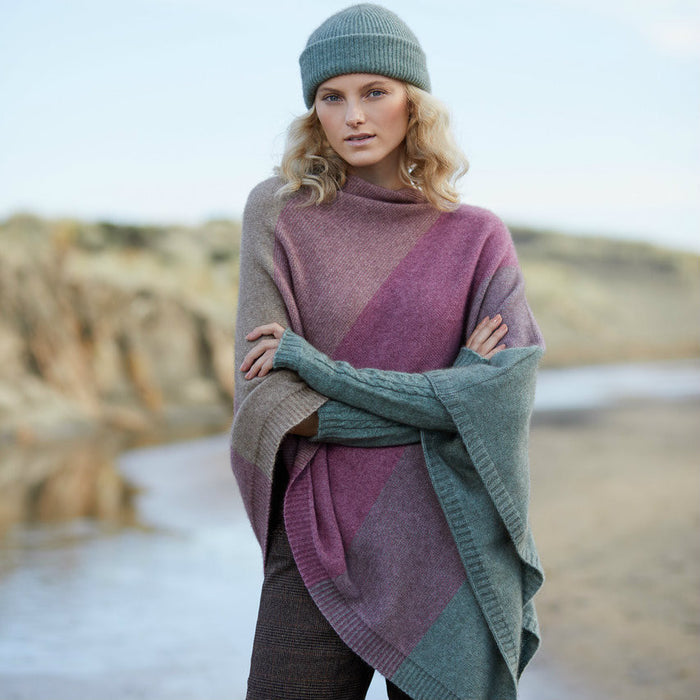 Hydrangea colour Poncho