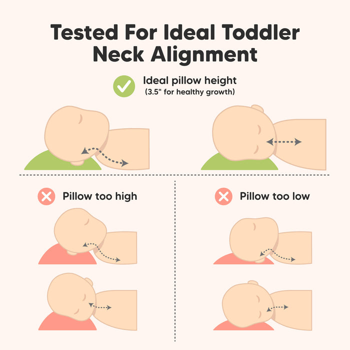 Tested for Ideal Toddler Neck Alignment, Ideal pillow height 3.5"