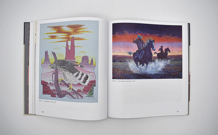 Native Studio Art Since the 1920s: The Healey Collection