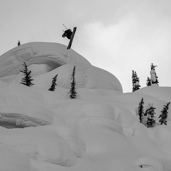 Sammy Carlson Pro Series Light Cushion Merino Snow Sock