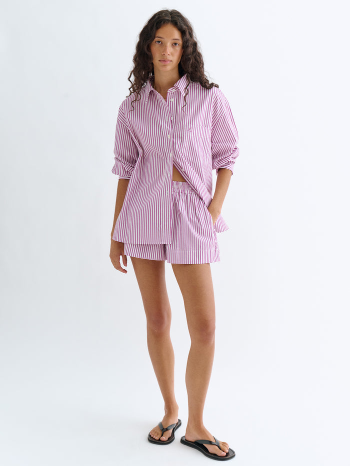 Magenta Stripe
