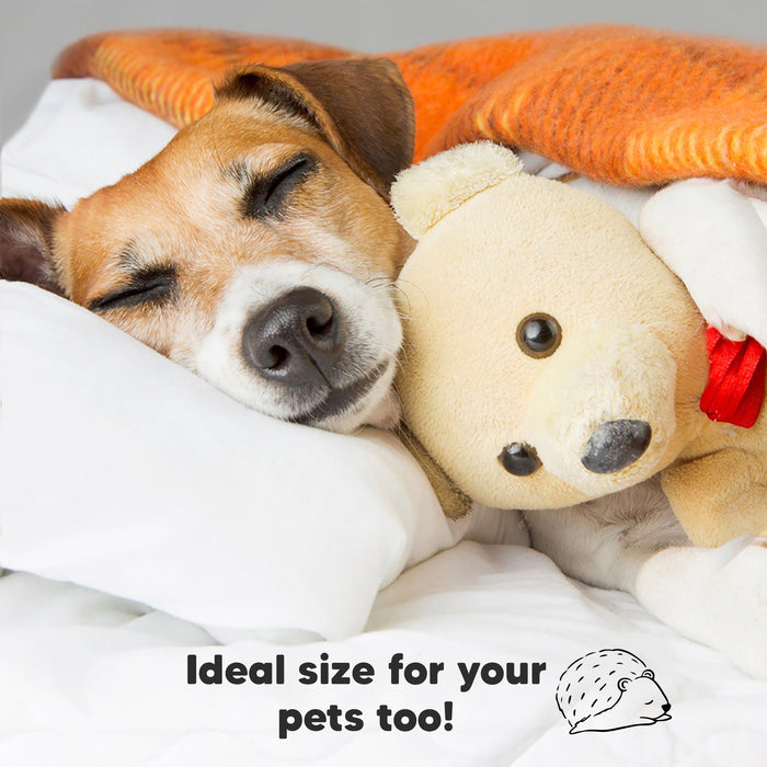 Ideal size for your pets